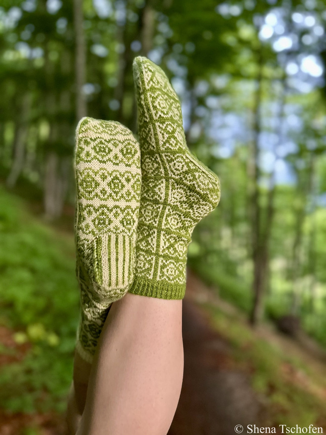 Beech Bud Socks | Yarn Kits