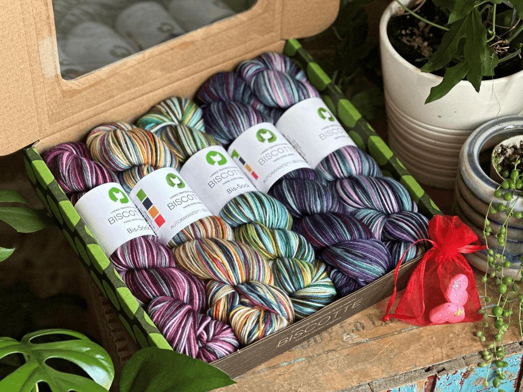 Sock knitter's gift box - Biscotte Yarns