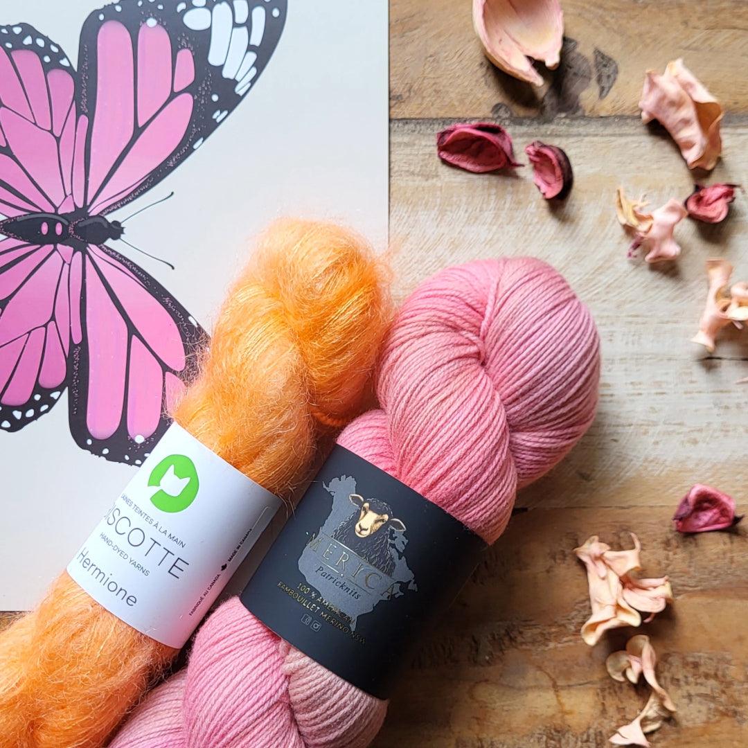 Petites Douceurs | Knitting kits - Biscotte Yarns