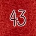 50 Mohair Shades - Katia Concept - Biscotte Yarns