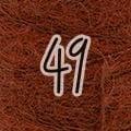 50 Mohair Shades - Katia Concept - Biscotte Yarns