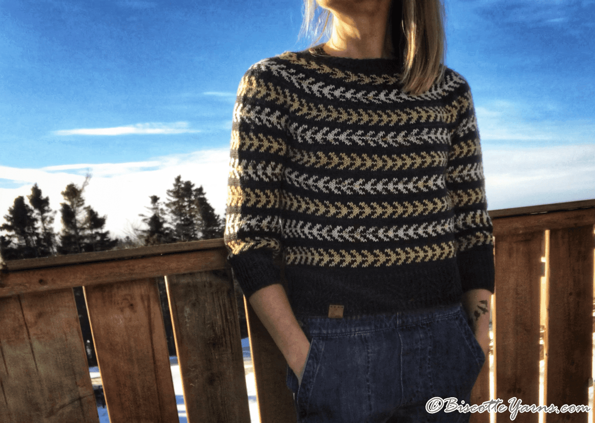 Seascape | Andrea Yetman Free Pattern - Biscotte Yarns