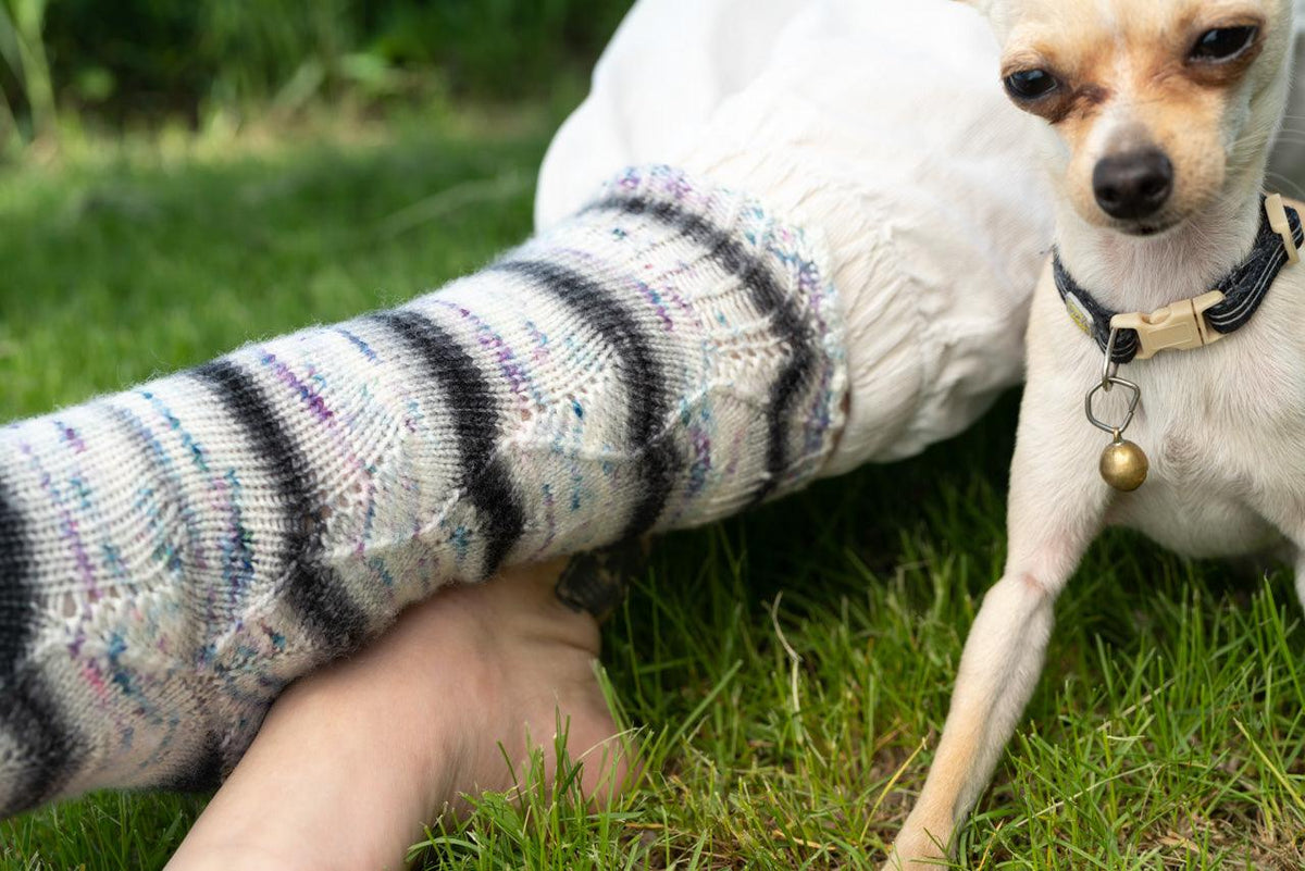 Funky Town Sock Pattern - Biscotte Yarns