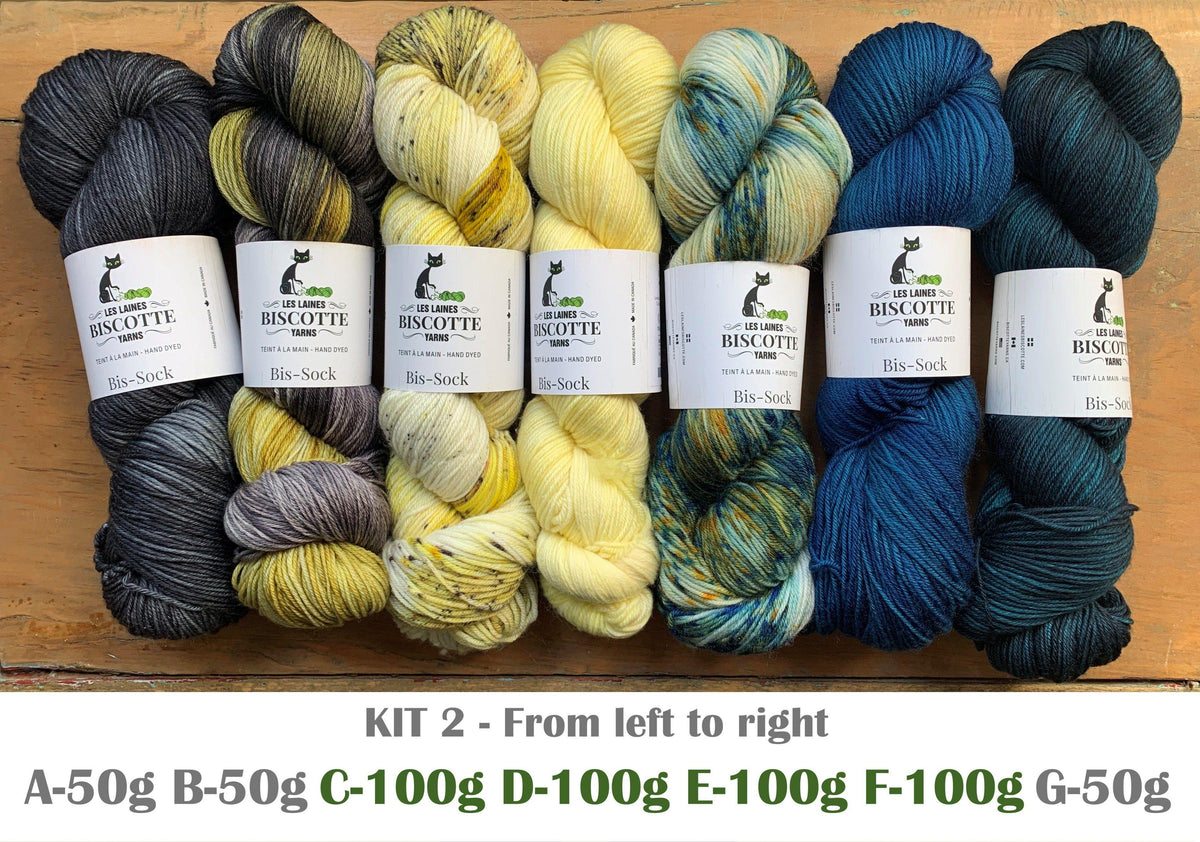 Knitting kit - FIND YOUR FADE shawl by Andrea Mowry - Biscotte Yarns