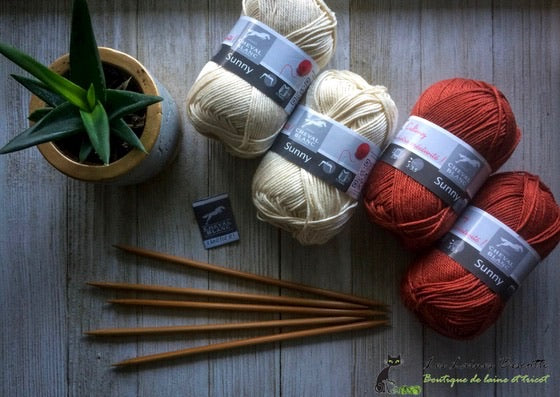 Sunny with a Chance of Jogless Stripes - Biscotte Yarns