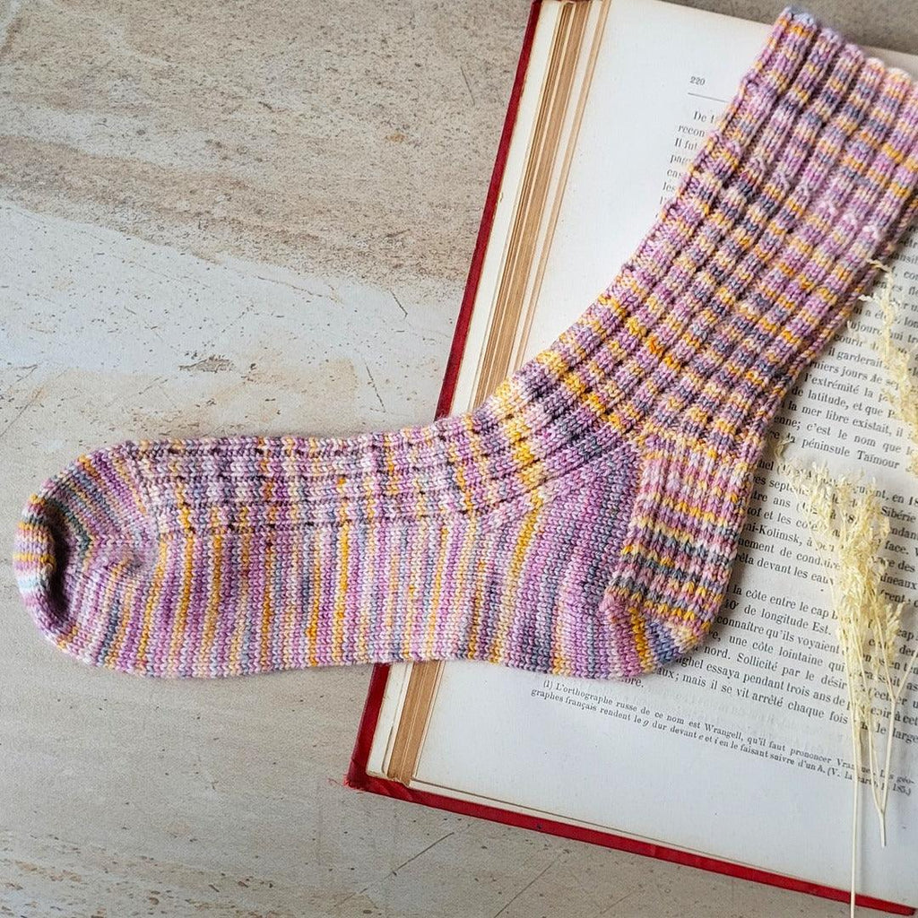 A Hole Lotta Ribs Socks | Knitting kit - Biscotte Yarns