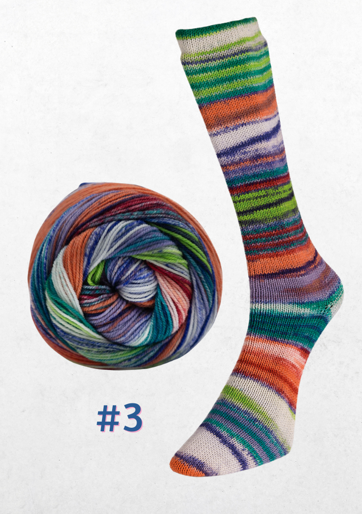 Eclectic Sock - LAINE du NORD 3