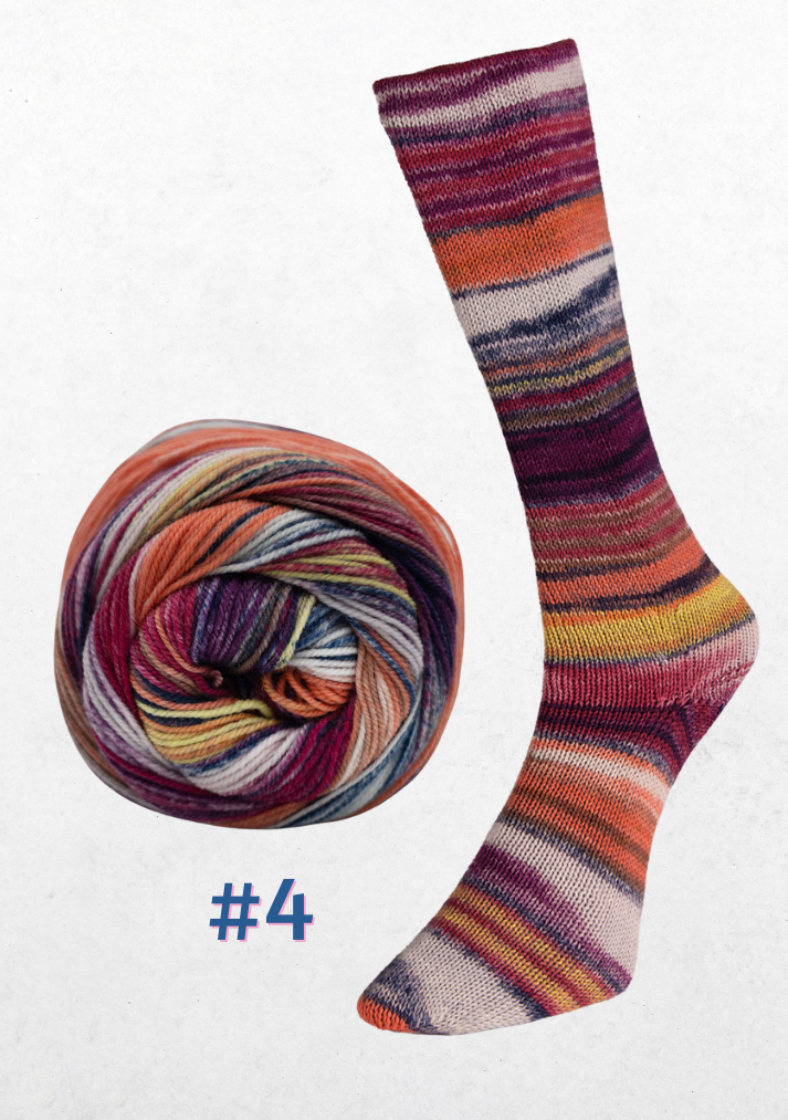 Eclectic Sock - LAINE du NORD 4