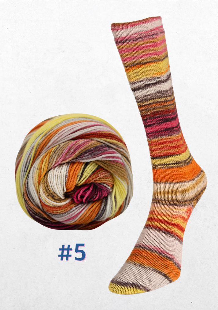 Eclectic Sock - LAINE du NORD 5