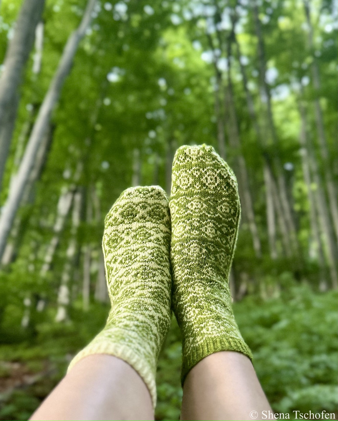 Beech Bud Socks | Yarn Kits