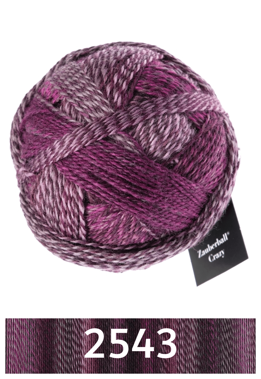 Zauberball Crazy - Biscotte Yarns