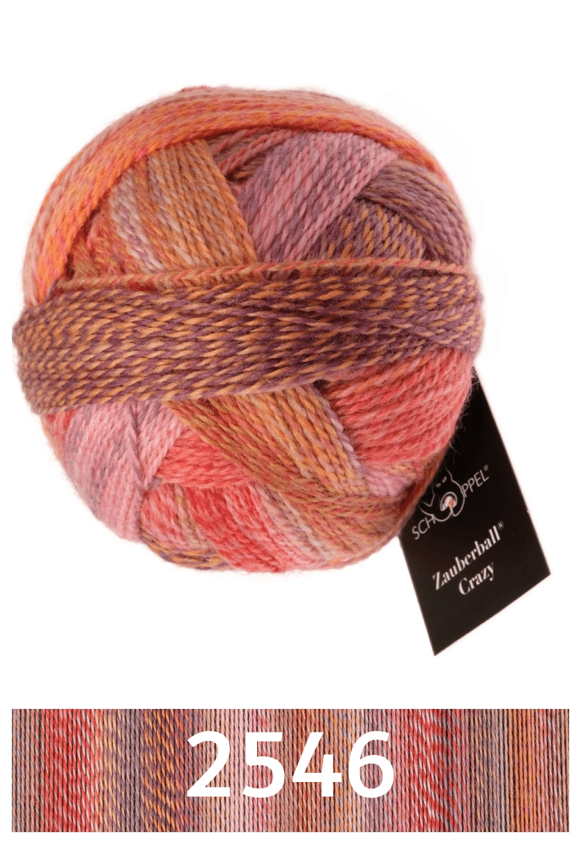 Zauberball Crazy - Biscotte Yarns