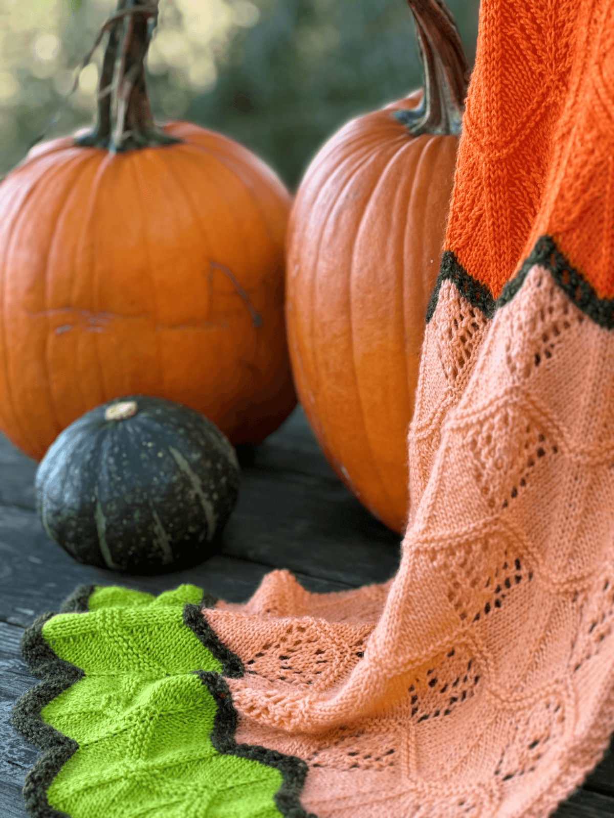 Fall Chevron Shawl - KNITTING KIT - Biscotte Yarns