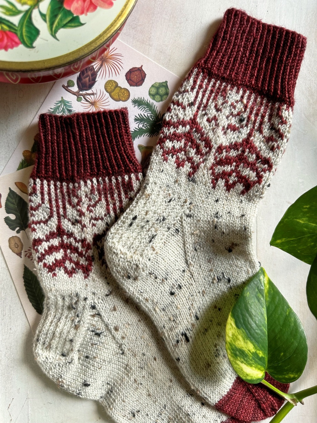 Hibiscus Socks | Knitting Pattern and Optional Kits