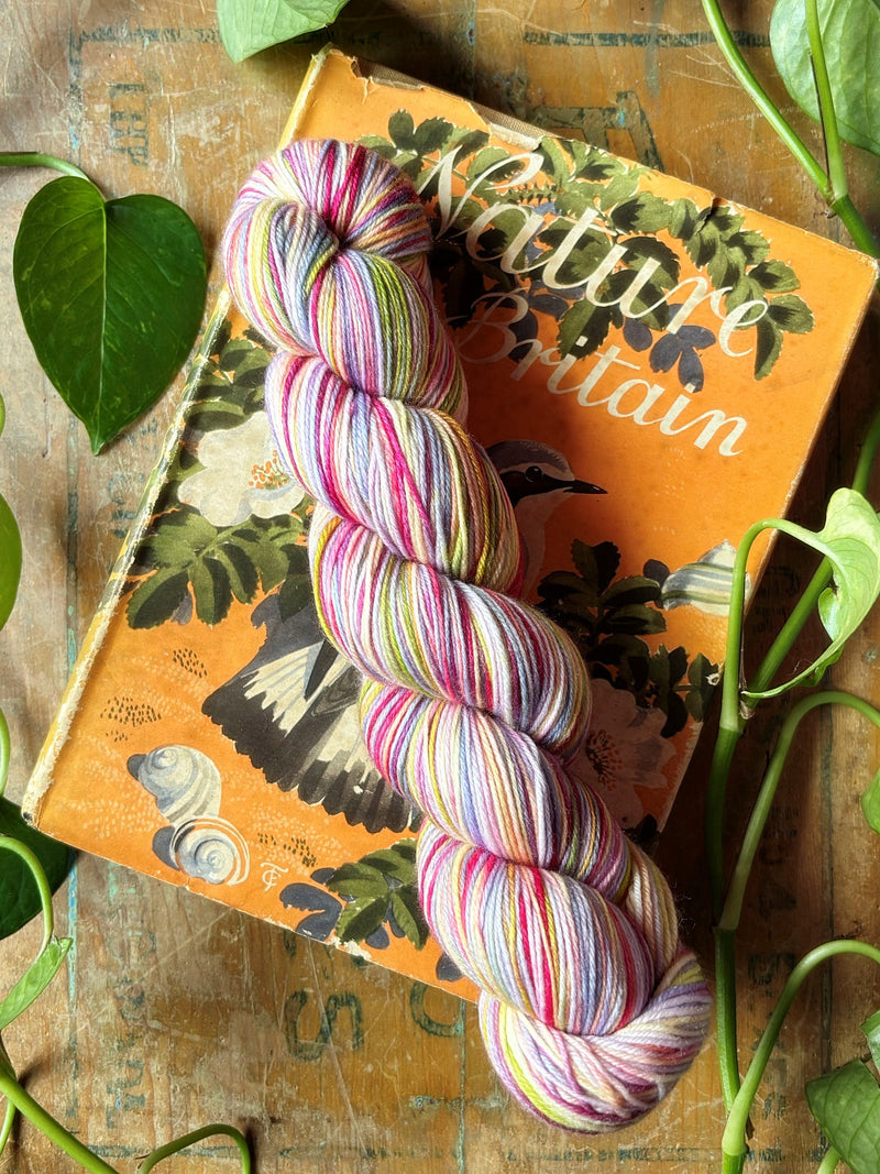 BIS-SOCK EXCLUSIVE YARNS EXTRA