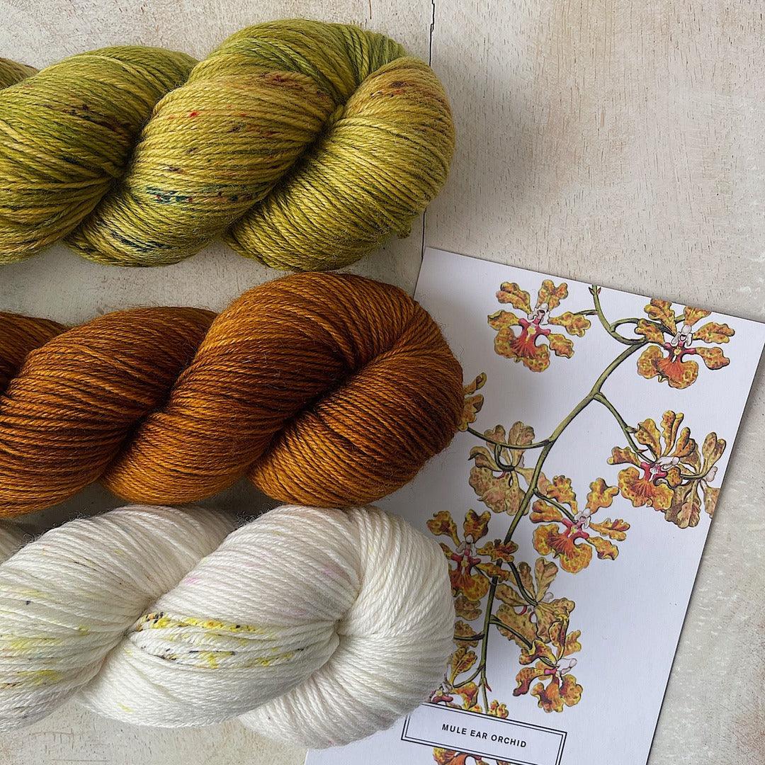 Gaïa | Knitting kit - Biscotte Yarns