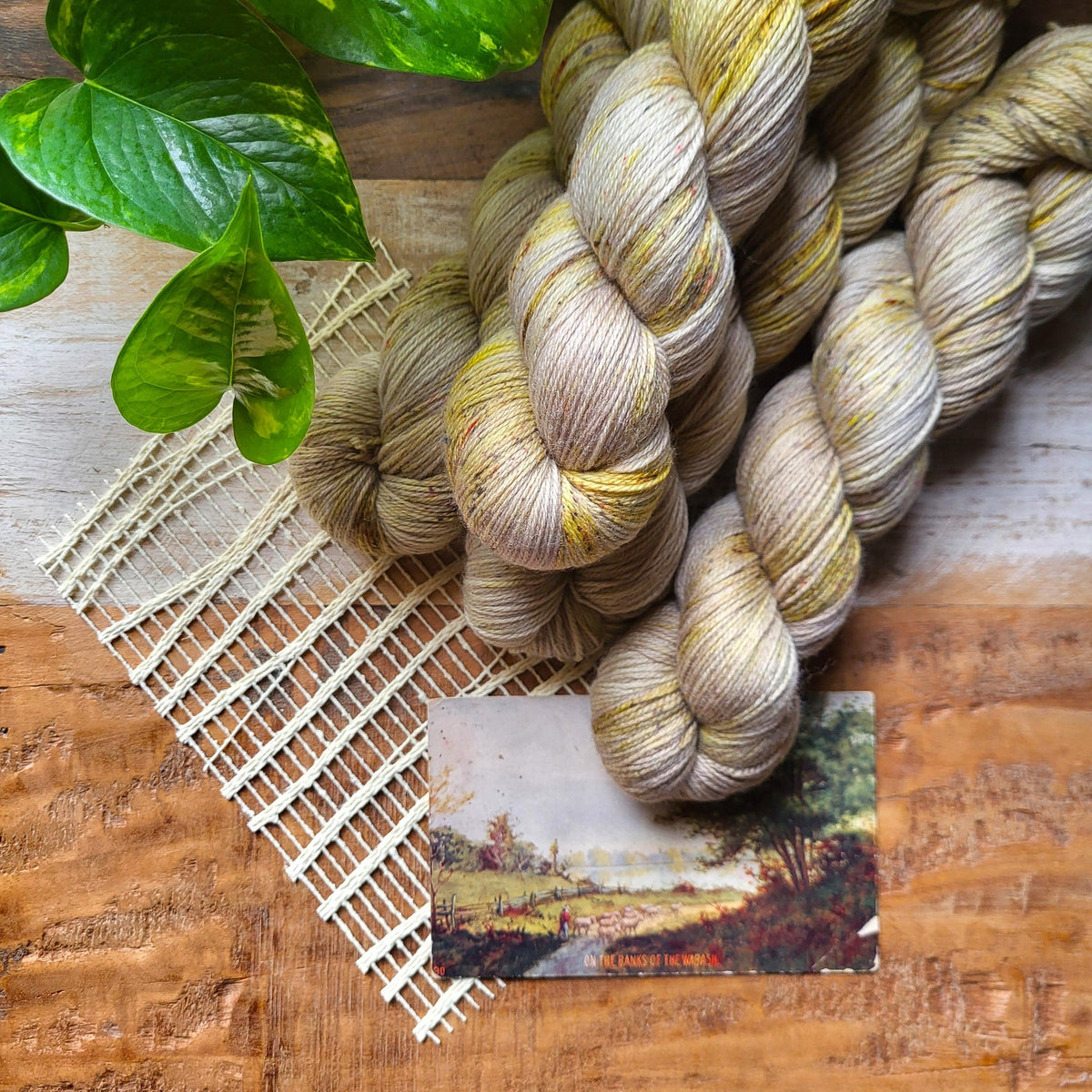 Diagonal Cable Stole | Knitting Kit - Biscotte Yarns