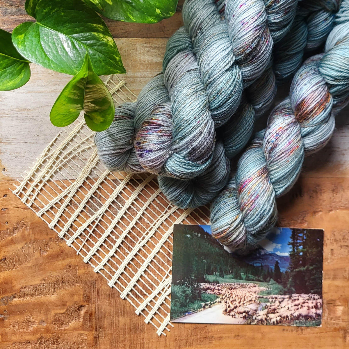 Diagonal Cable Stole | Knitting Kit - Biscotte Yarns