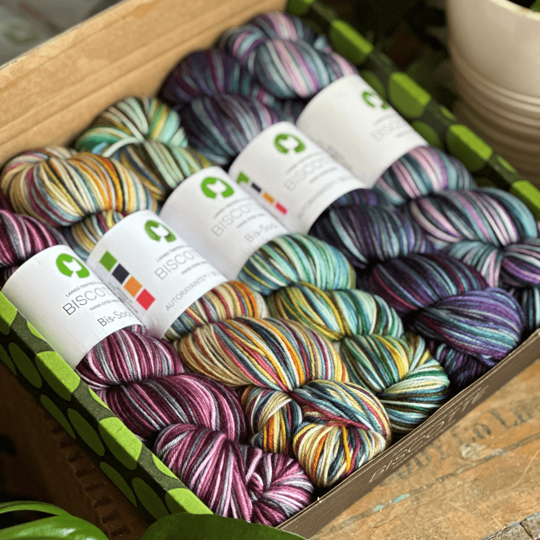 Sock knitter's gift box - Biscotte Yarns