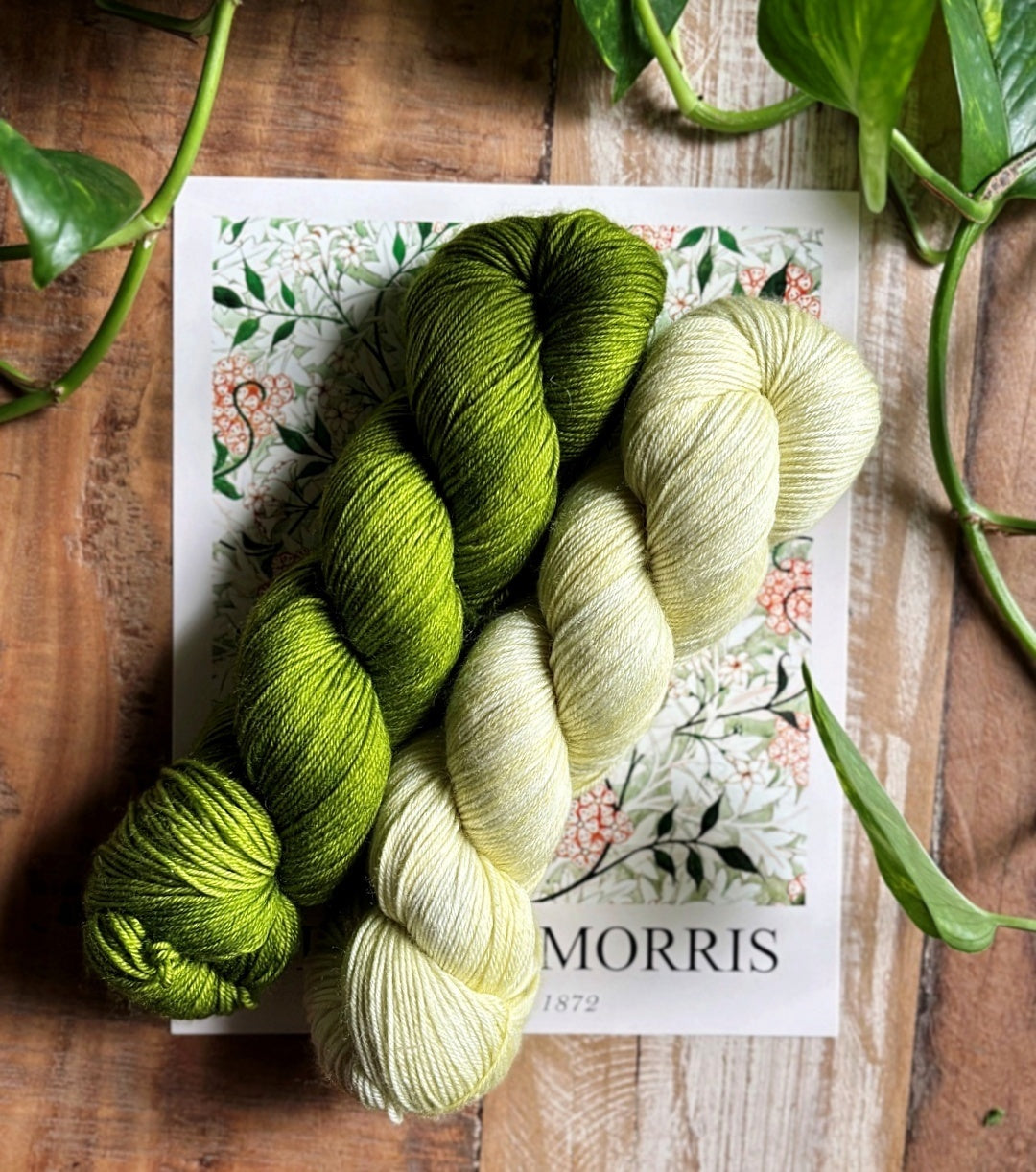 Beech Bud Socks | Yarn Kits
