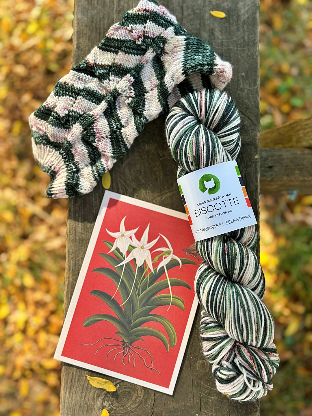 Big Bold Foliage | Knitting pattern with or without yarns