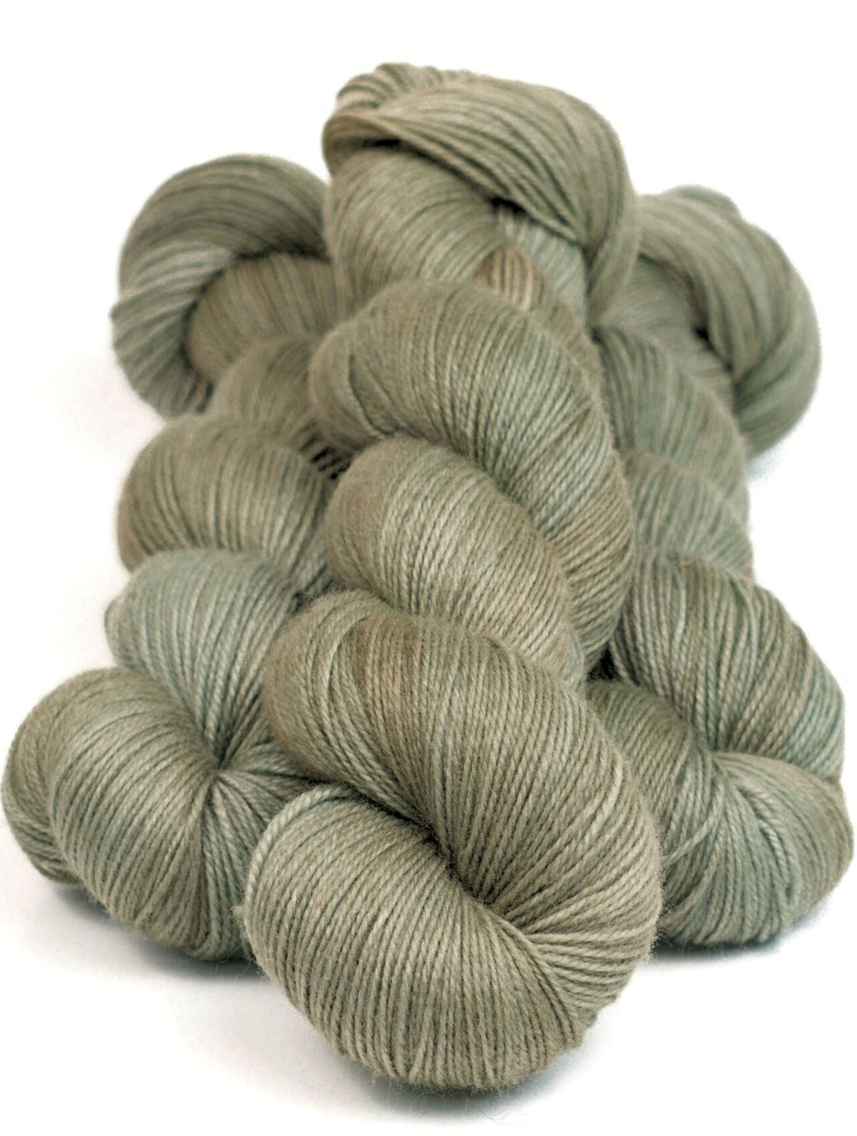 MERICA SALAMANDRE SUCRÉE