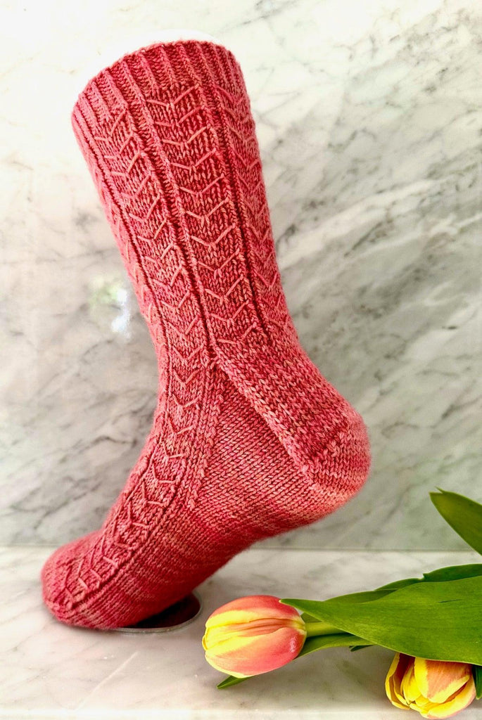 Everyone Socks | Knitting pattern and knitting kits - Biscotte Yarns