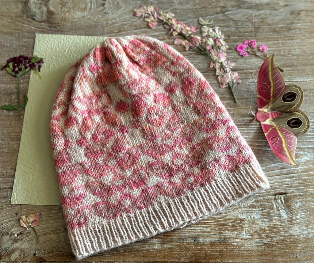 Martha Hat | Knitting kit - Biscotte Yarns