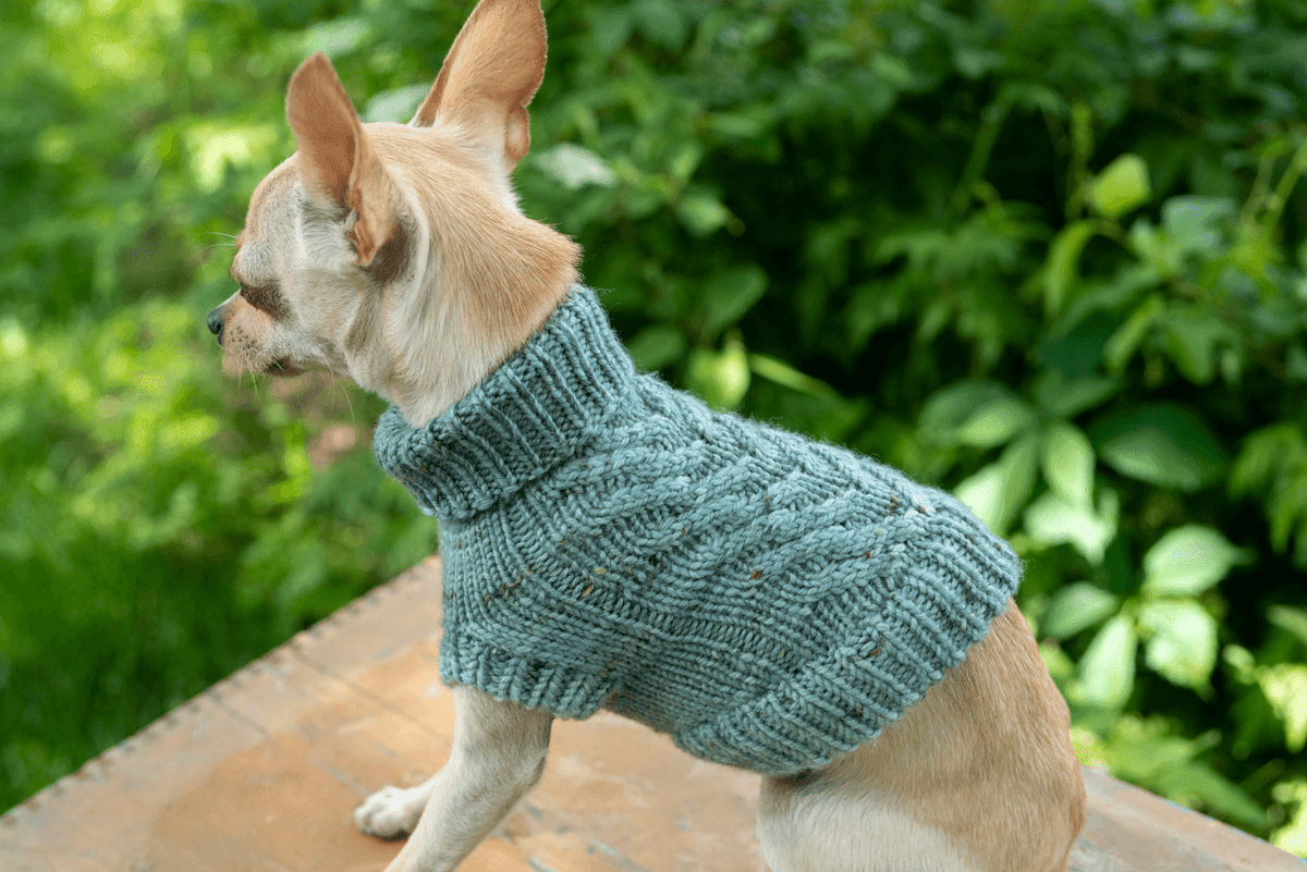 Engel Pullover | Dog Pattern - Biscotte Yarns