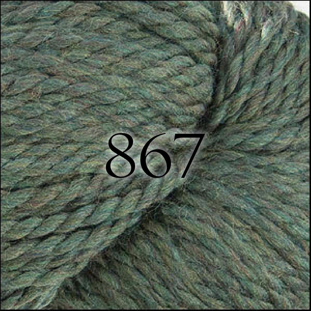 Cascade Yarns 128 Superwash - Biscotte Yarns