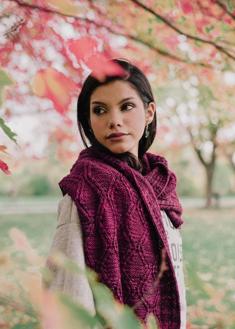 Linked - wrap pattern (rectangular shawl) - Biscotte Yarns