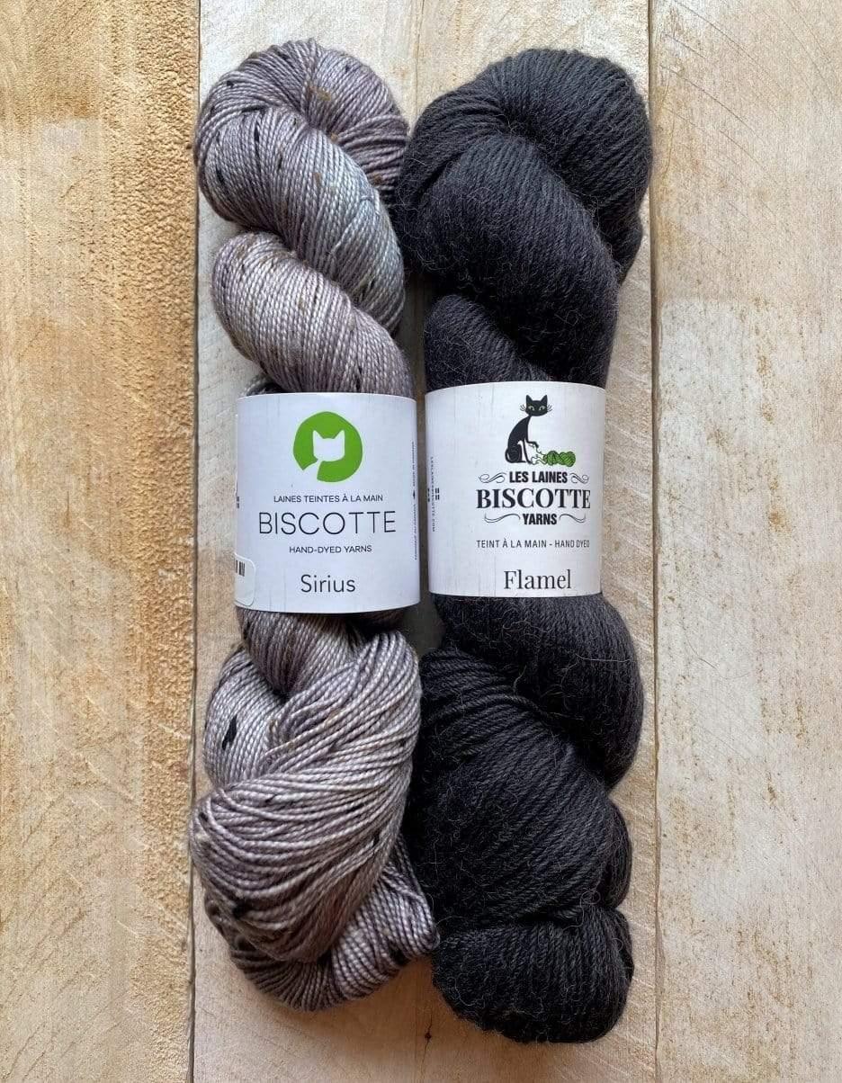 Les Gens de La Ville Mittens Kit 🏡 - Biscotte Yarns