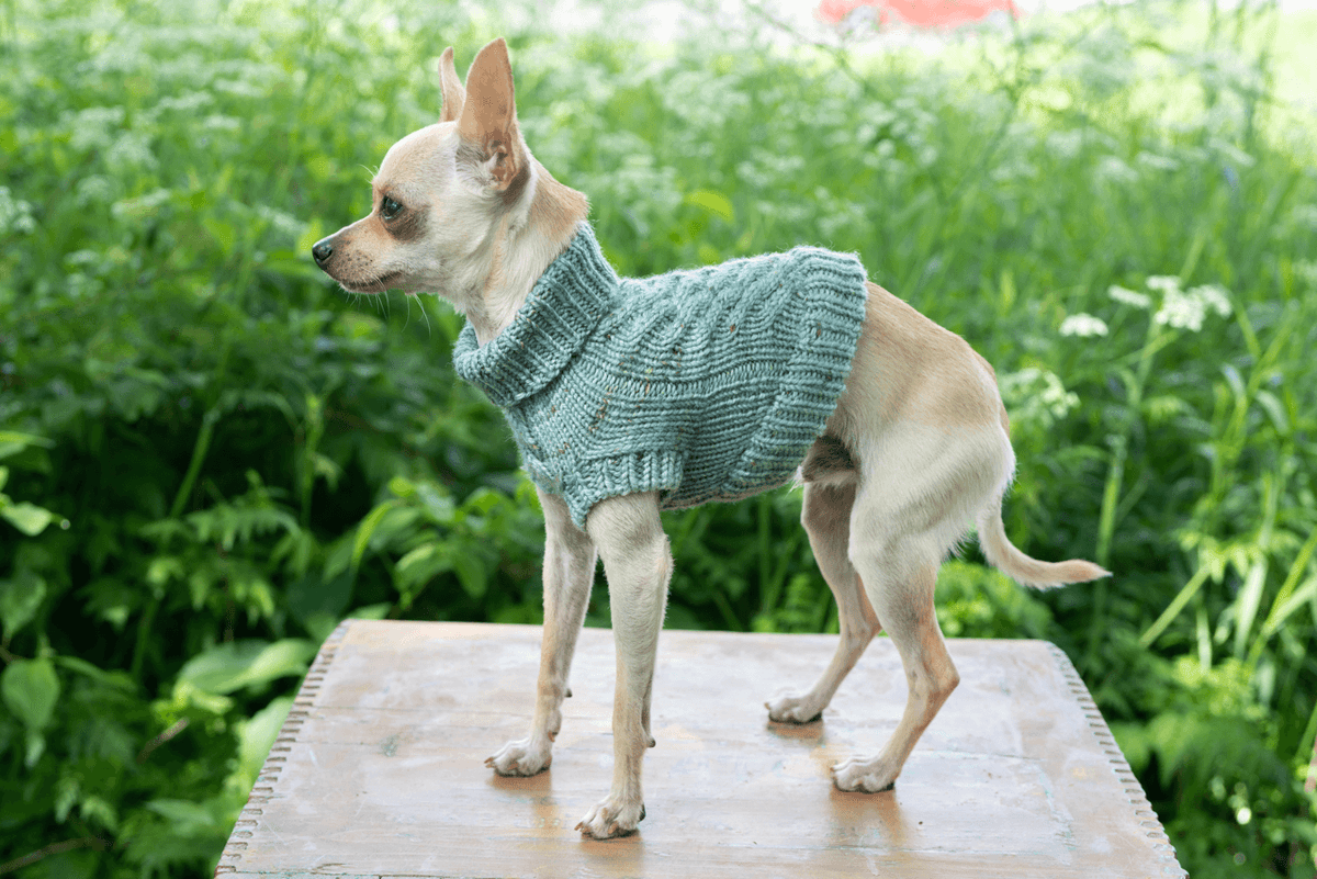 Engel Pullover | Dog Pattern - Biscotte Yarns