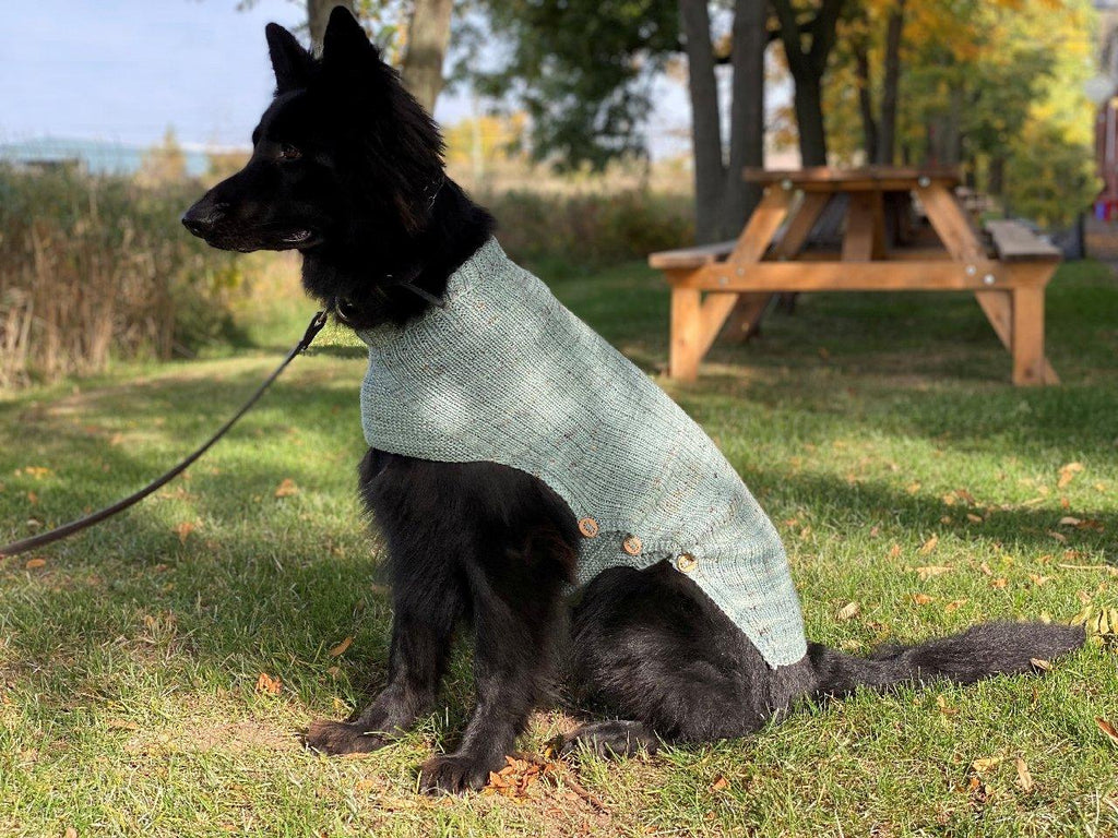 Whisky's sweater | Free knitting pattern for Dog - Biscotte Yarns