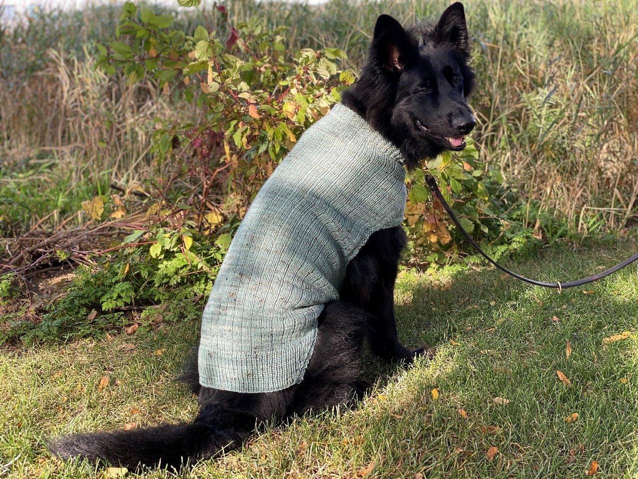 Dog Sweater Knitting Pattern (Straight Needles)