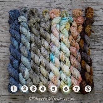 Biscotte-mini yarn set