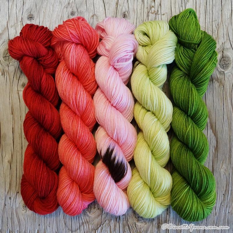 Assortment of WATERMELON Colour Paintbox Yarn - Biscotte yarns