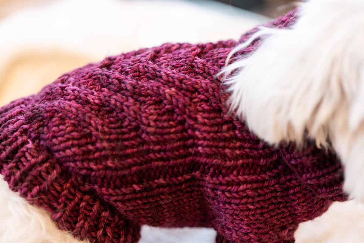 Engel Pullover | Dog Pattern - Biscotte Yarns