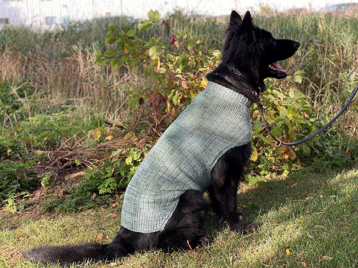 Whisky's sweater | Free knitting pattern for Dog - Biscotte Yarns