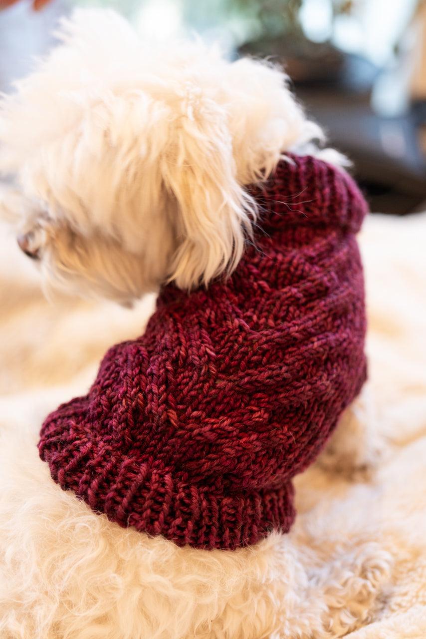 Engel Pullover | Dog Pattern - Biscotte Yarns