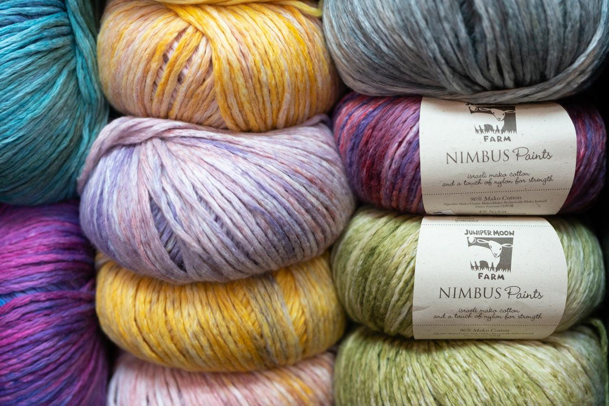 Nimbus Paint - Juniper Moon - Biscotte Yarns