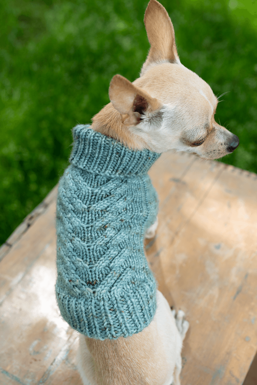 Engel Pullover | Dog Pattern - Biscotte Yarns