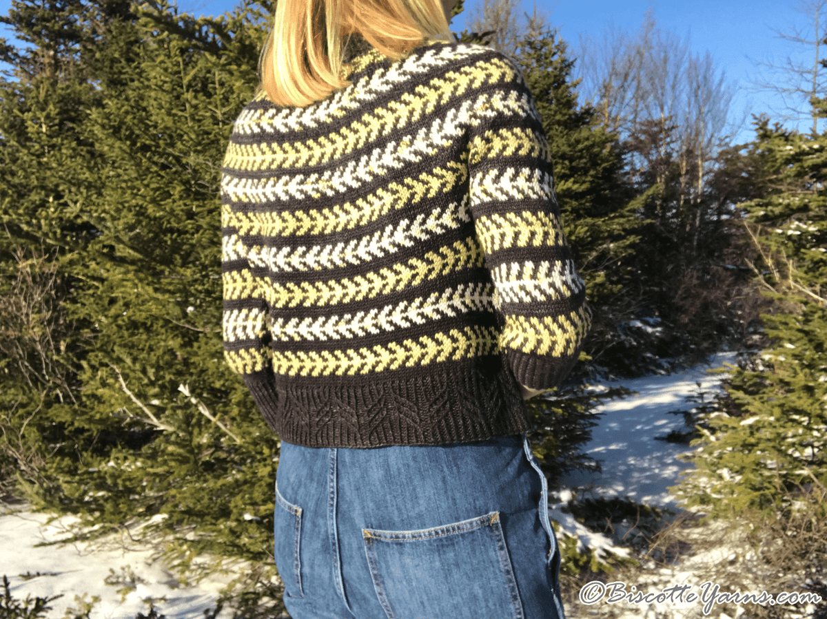 Seascape | Andrea Yetman Free Pattern - Biscotte Yarns