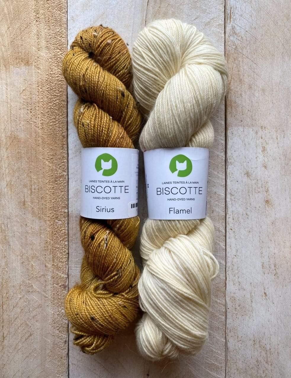 Les Gens de La Ville Mittens Kit 🏡 - Biscotte Yarns