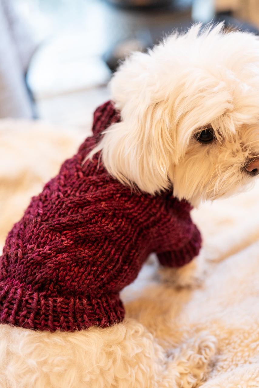 Engel Pullover | Dog Pattern - Biscotte Yarns