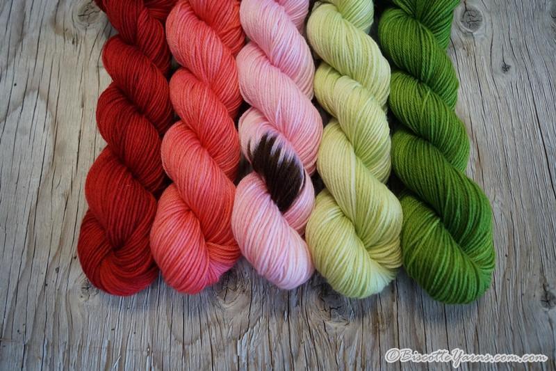 Assortment of WATERMELON Colour Paintbox Yarn - Biscotte yarns