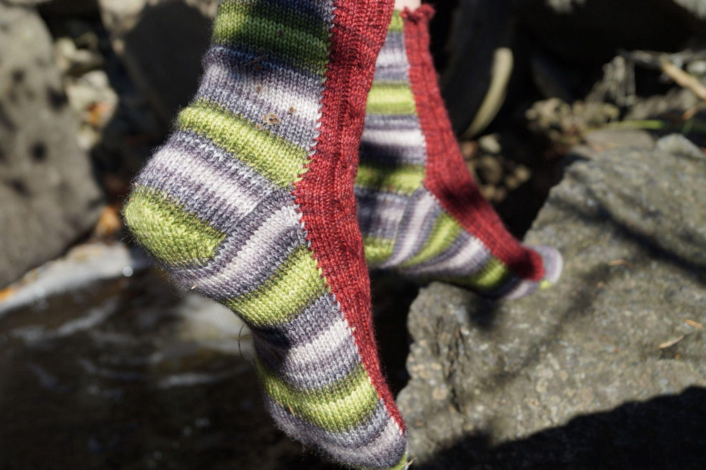 Vipere's tongue sock pattern - Biscotte yarns