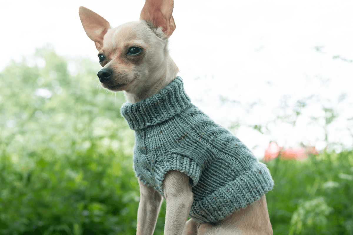 Engel Pullover | Dog Pattern - Biscotte Yarns