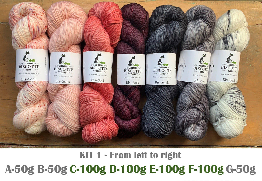 Knitting kit - FIND YOUR FADE shawl by Andrea Mowry - Biscotte Yarns