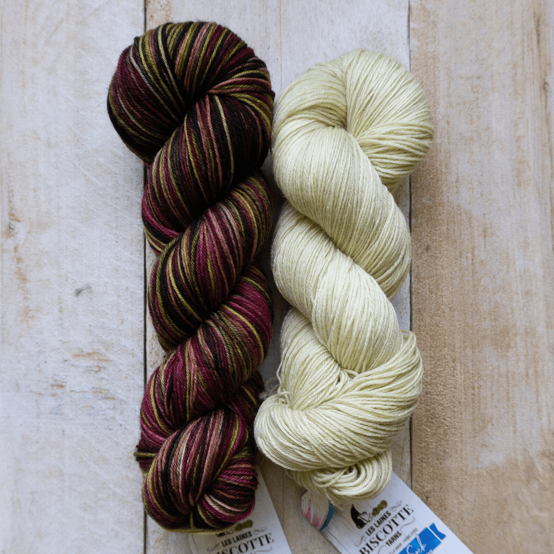 The Illusionist Sock | Knitting Kit - Biscotte Yarns